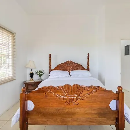 Rose View Apartment Montego Bay Esterno foto